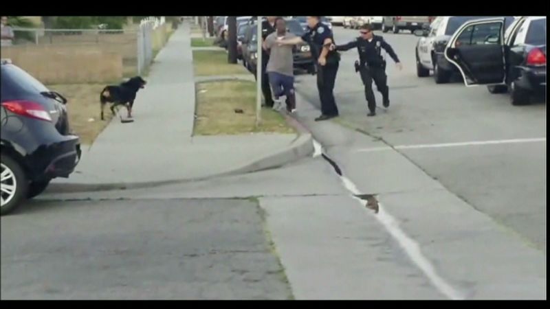 Video Shows Police Shooting Dog | CNN