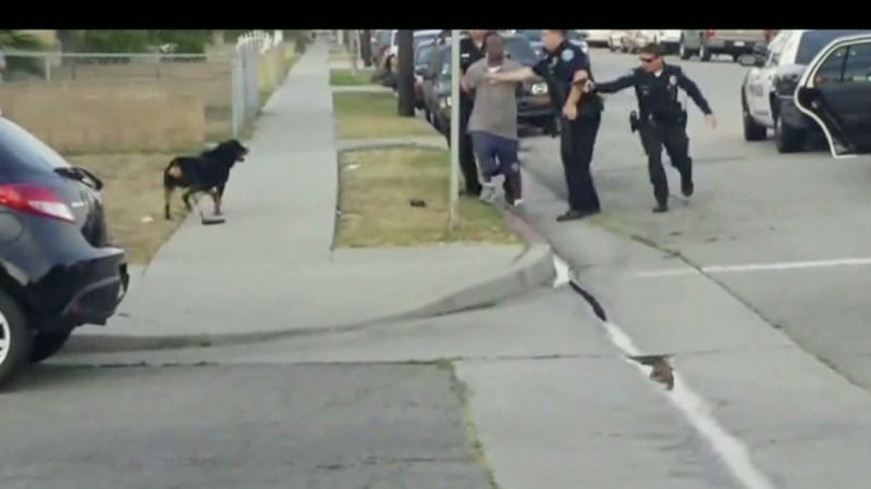 Video shows police shooting dog | CNN - Man Shoots Dog In Face For Being Too Happy