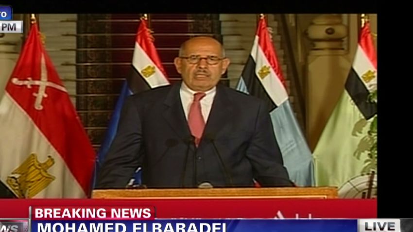 nr el baradei iaea react to morsy ouster_00000409.jpg
