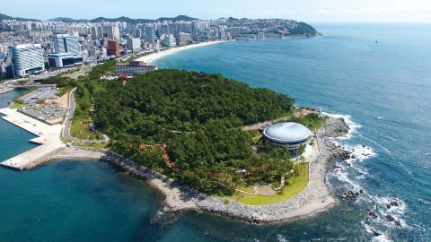 Best of Busan story top