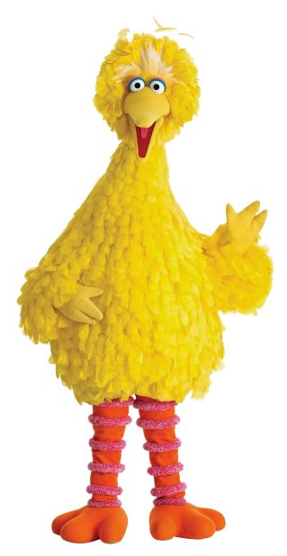 Sesame Street's original star<strong> Big Bird</strong> has led the show since its first episode in 1969. The 8-foot Muppet often doesn't understand what's going on but sets the tone for the show by never hesitating to find out.