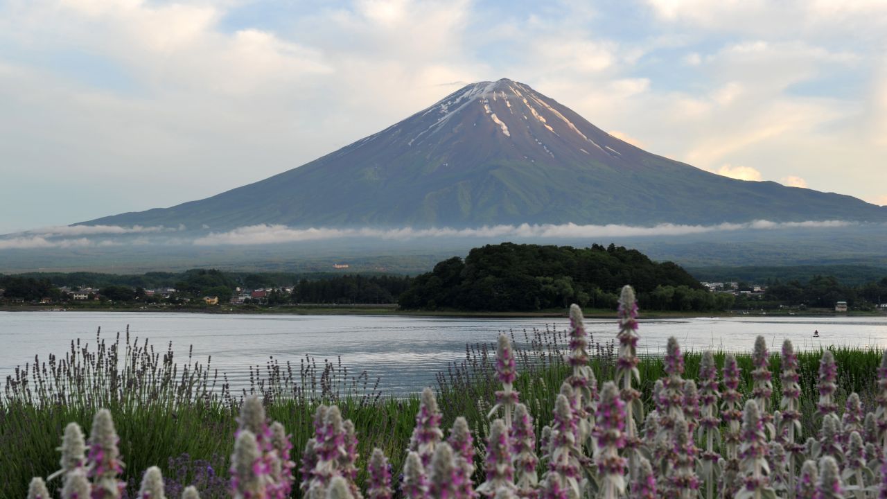 mount in summer