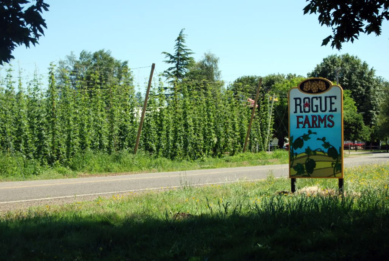 Rogue Farm's Hop 'N Bed, a new B&B inside the property's 100-year-old farmhouse, gives guests access to daily facility tours as well as the tasting room, which overlooks land that for multiple generations has grown some of the world's most sought after hops.
