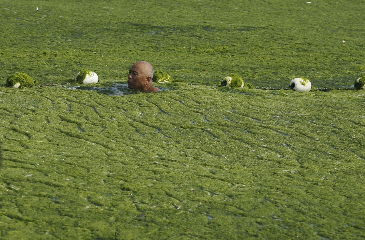 Chinese officials have blamed past algae outbreaks on unusually warm seas. But scientists say that agricultural waste, industrial pollution, and human sewage are often to blame.