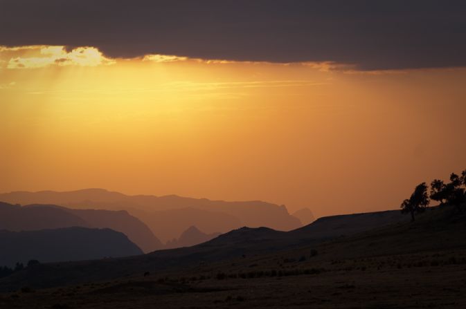 The mountains are also famed for sheltering some of the world's rarest species, including the walia ibex, which is not found anywhere else. 