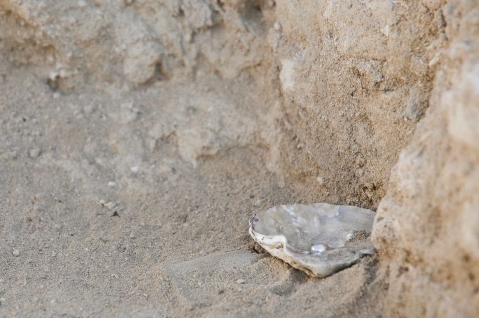 Al Zubarah's economy was sustained by the pearl diving season which took place during the long summer months and drew in Bedouin from the interior of Qatar.