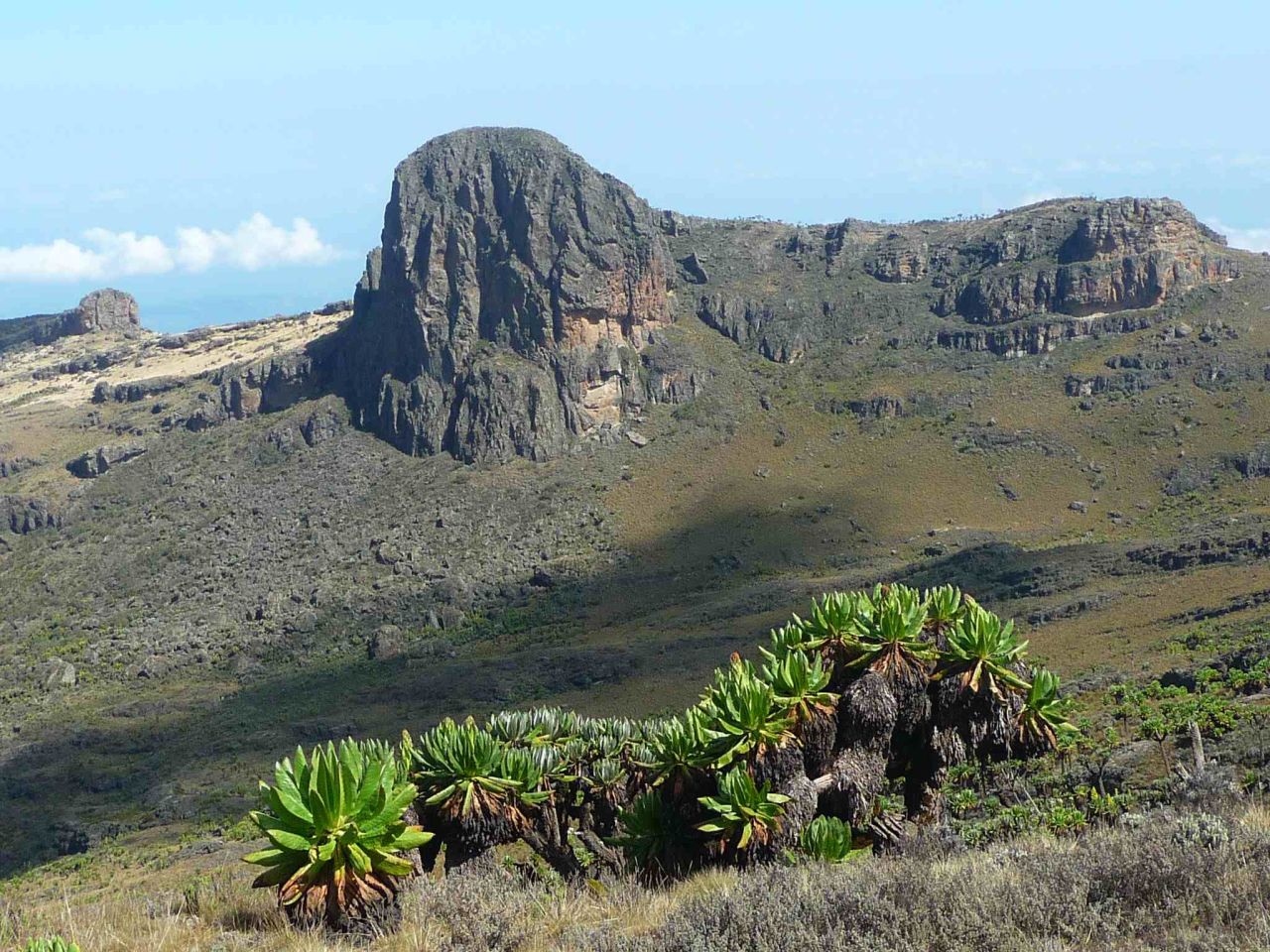 Rising along the Ugandan-Kenyan border, Mount Elgon is an extinct volcano ideal for extended hikes and bird watching. The best times to come here are from June to August and December to March. <em>Peak: 4,321 meters.</em>