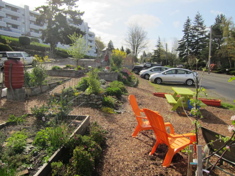 Seattle's municipal leaders are seeking ways to bring more fresh, locally grown produce to the public, like this mature garden pictured here.