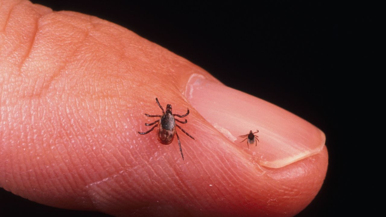  Lyme is the most frequently reported tick-borne disease in the United States, but only a fraction of cases are reported.