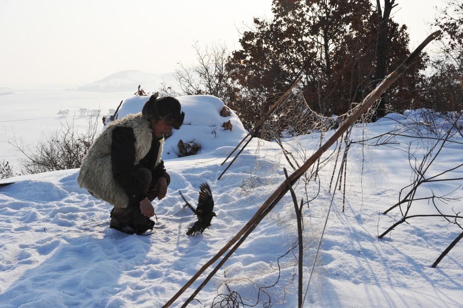 Trained falcons can hunt 10 to 20 pheasants per day, which are sold for up to RMB 150 ($24) each at a local market.