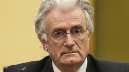 Bosnian Serb wartime leader Radovan Karadzic appears in the courtroom at the International Criminal Tribunal for Former Yugoslavia (ICTY) in The Hague, The Netherlands, on July 11 2013. 
