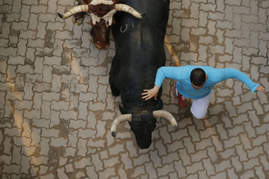 Two fighting bulls run next to a participant on July 12. The annual festival was popularized by Ernest Hemingway's 1926 novel "The Sun Also Rises."