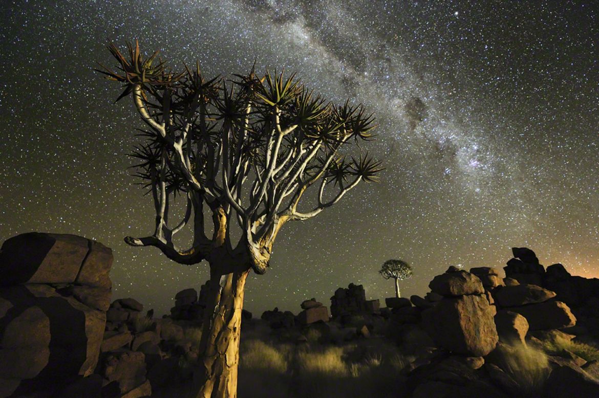 Namib desert, Namibia: quiver trees beneath the stars; Marsel van Oosten, Netherlands; winner, Wild Planet portfolio. Oosten swapped his former award-winning career as an advertising art director for the more precarious life of a wildlife photographer. <a href="http://ireport.cnn.com/topics/337949">iReport: send us your best travel snaps</a>