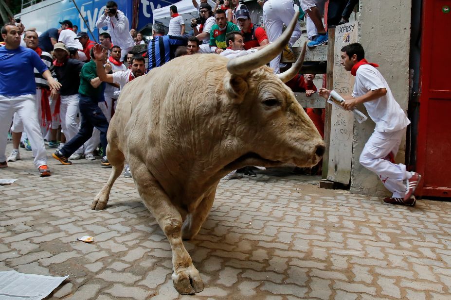 A fighting bull enters the bull ring on July 13, the eighth day of the running of the bulls.