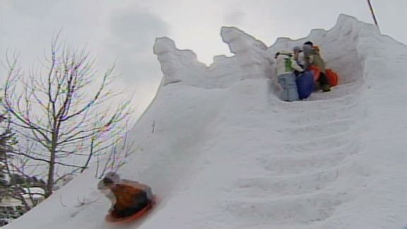 This 'Travel' Ice Luge.. : r/mildlyinteresting