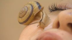 newscenter japan snail facials_00003717.jpg