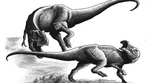 "The monsters that we see in dinosaurs are real," says paleontologist David Burnham.