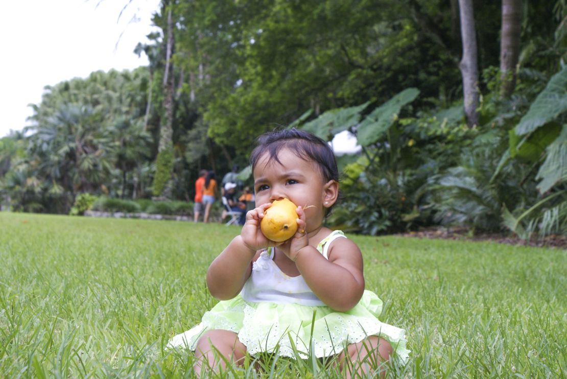 Never too young to enjoy a mango.