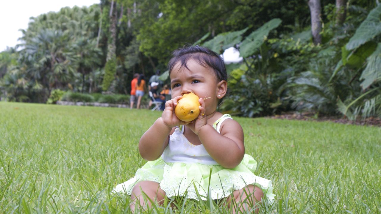 Never too young to enjoy a mango.