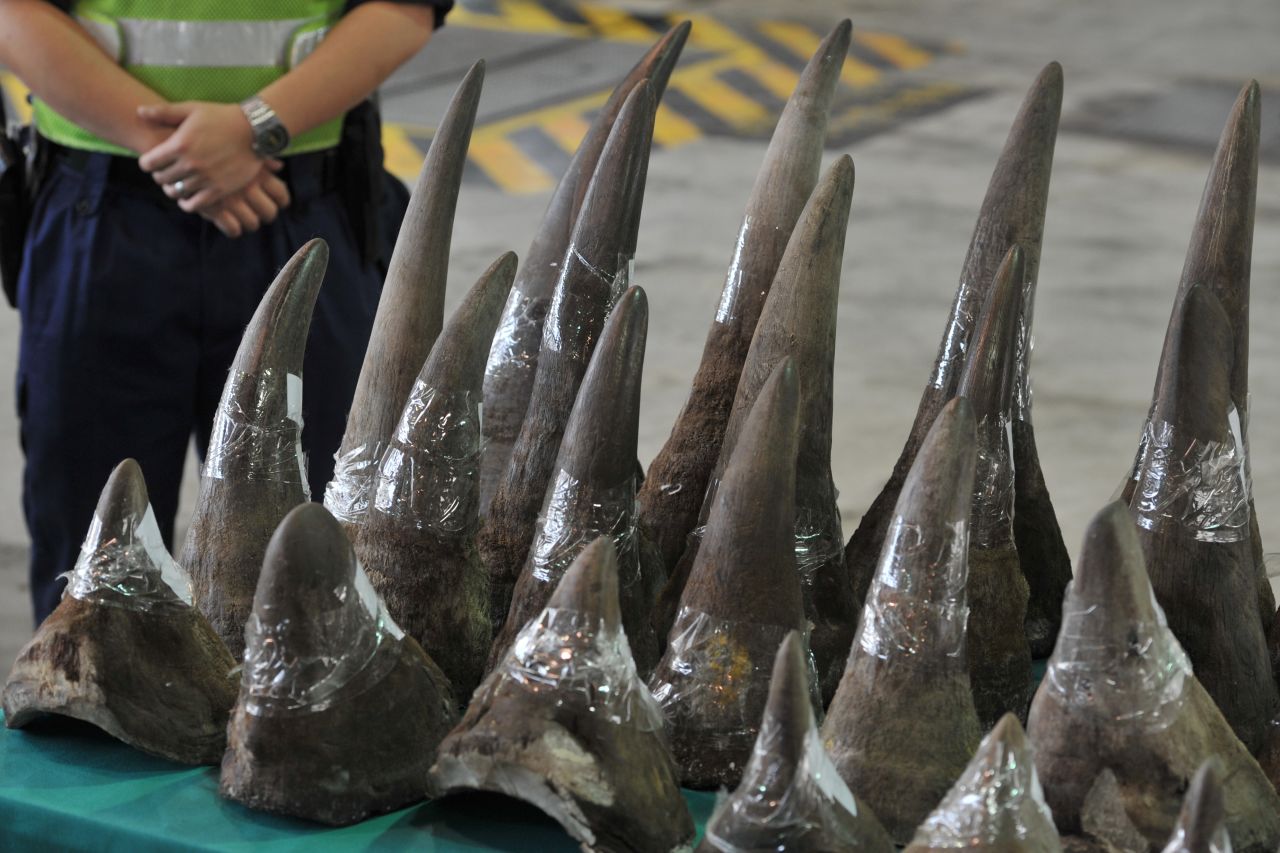 Poaching rates have soared recently in South Africa, home to about 75% of the world's rhinos. Rhino horns are being sold for a top dollar in parts of southeast Asia, where they are believed to cure all kinds of conditions.