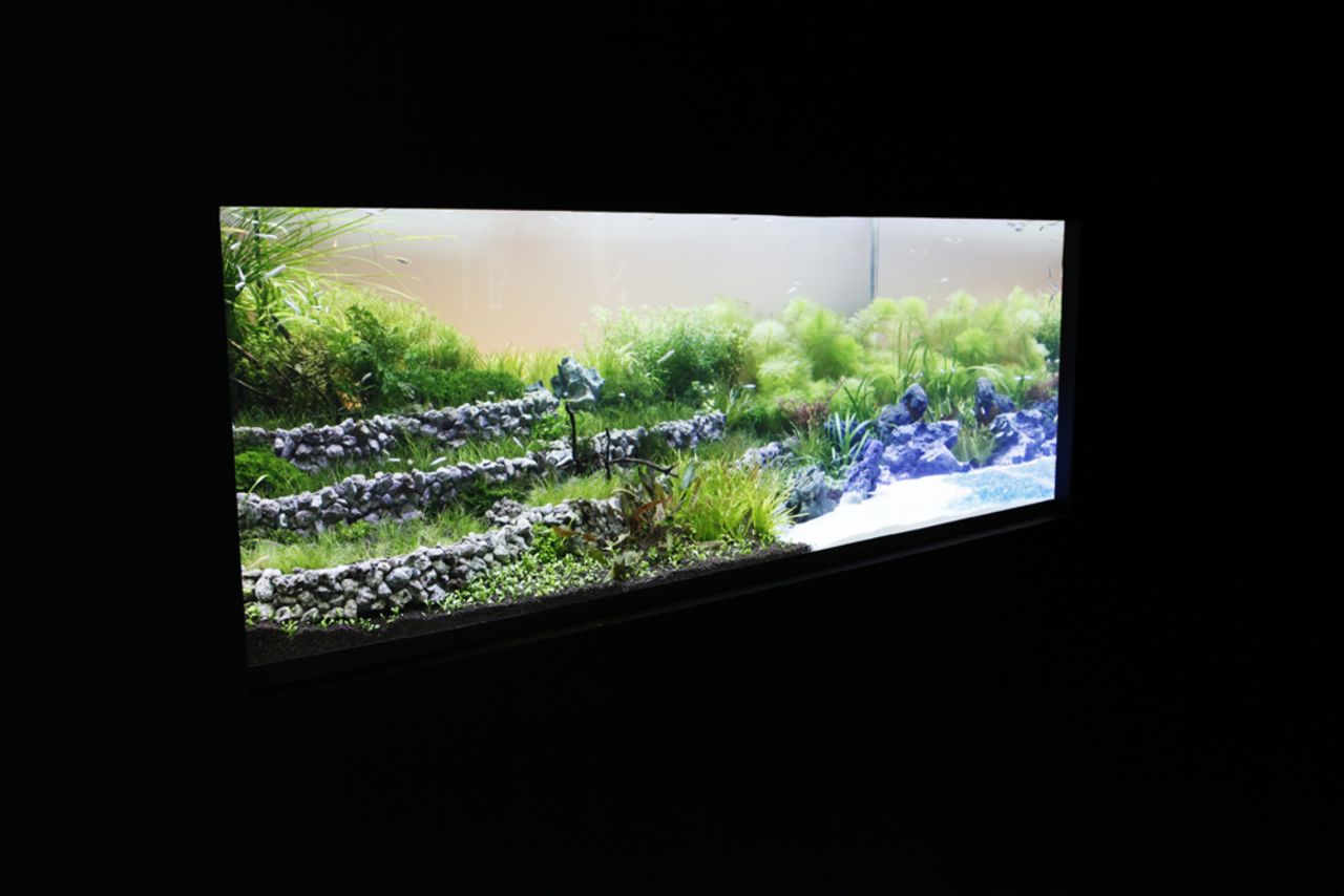 This 1.5-meter-long, 80-centimeter-deep tank portrays a landscape of rice field terraces.