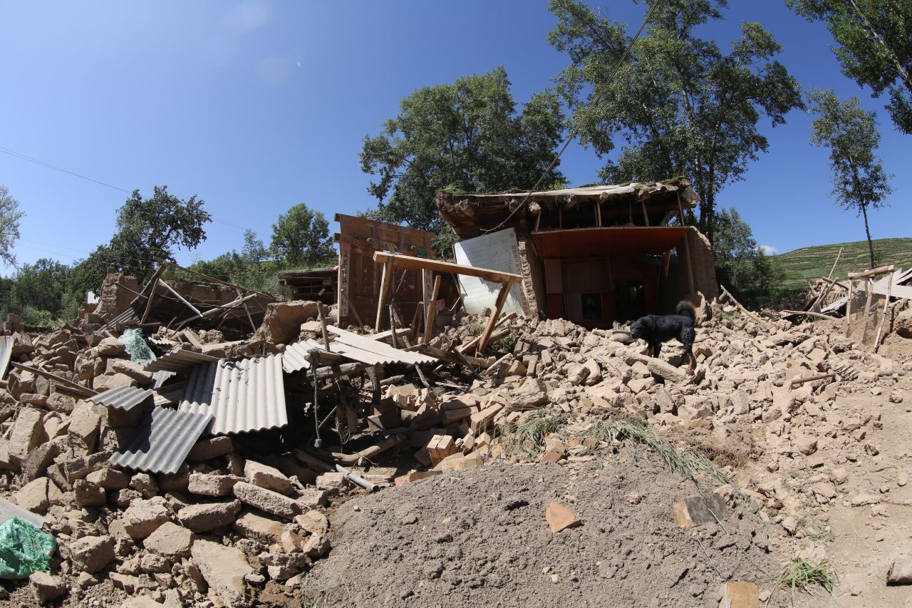 A dog stands on the ruins of a collapsed house in Hetuo township in Dingxi on July 22.