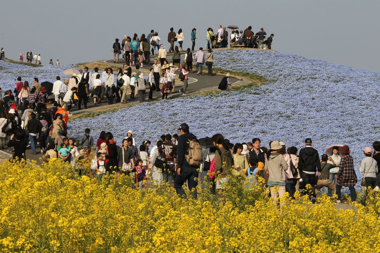 Technically, on Japan's Greenery Day (May 4), locals are meant to get out in nature. Really, though, it's an excuse for a day off. The day initially took place on the birthday of the late Emperor Showa on April 29. It was moved to May 4 and became more orientated around nature (apparently, the emperor was a fan of the outdoors).