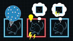 This illustration shows how researchers gave mice a false memory of being shocked in a particular environment.