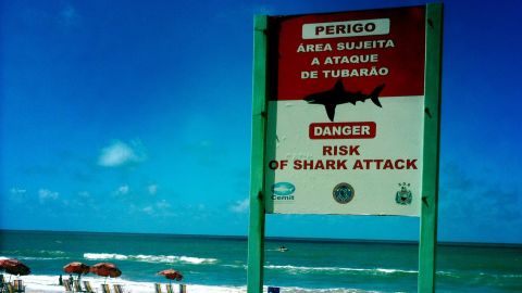 A shark warning sign is pictured on the beach in Recife, Brazil, on June 19.