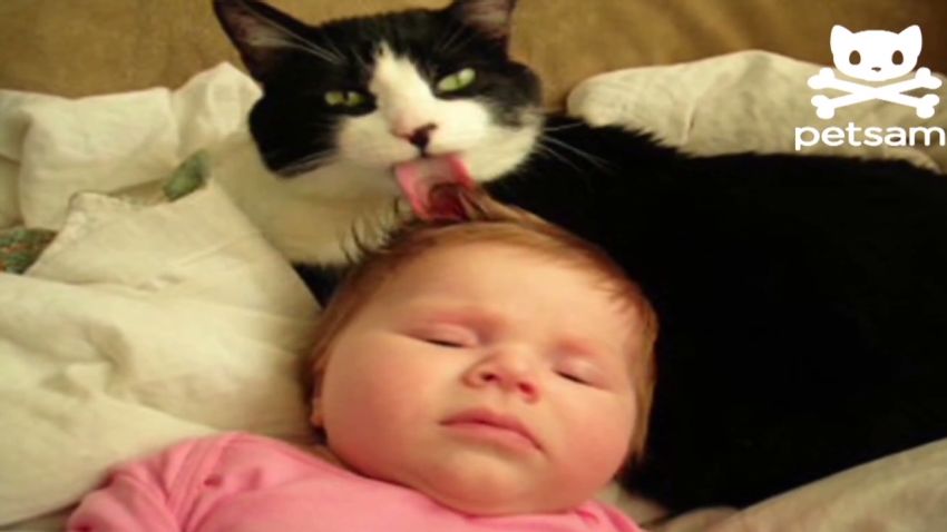 orig distraction cat gives baby tongue bath_00004320.jpg