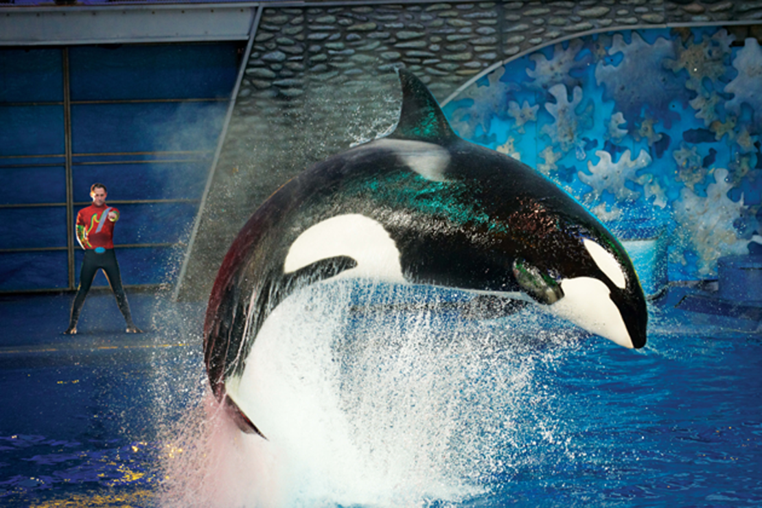 Private SeaWorld tours guarantee close encounters.