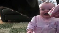 orig distraction baby laughs at dog eating popcorn_00002223.jpg