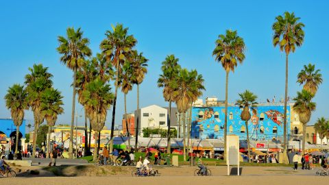 boardwalks venice beach