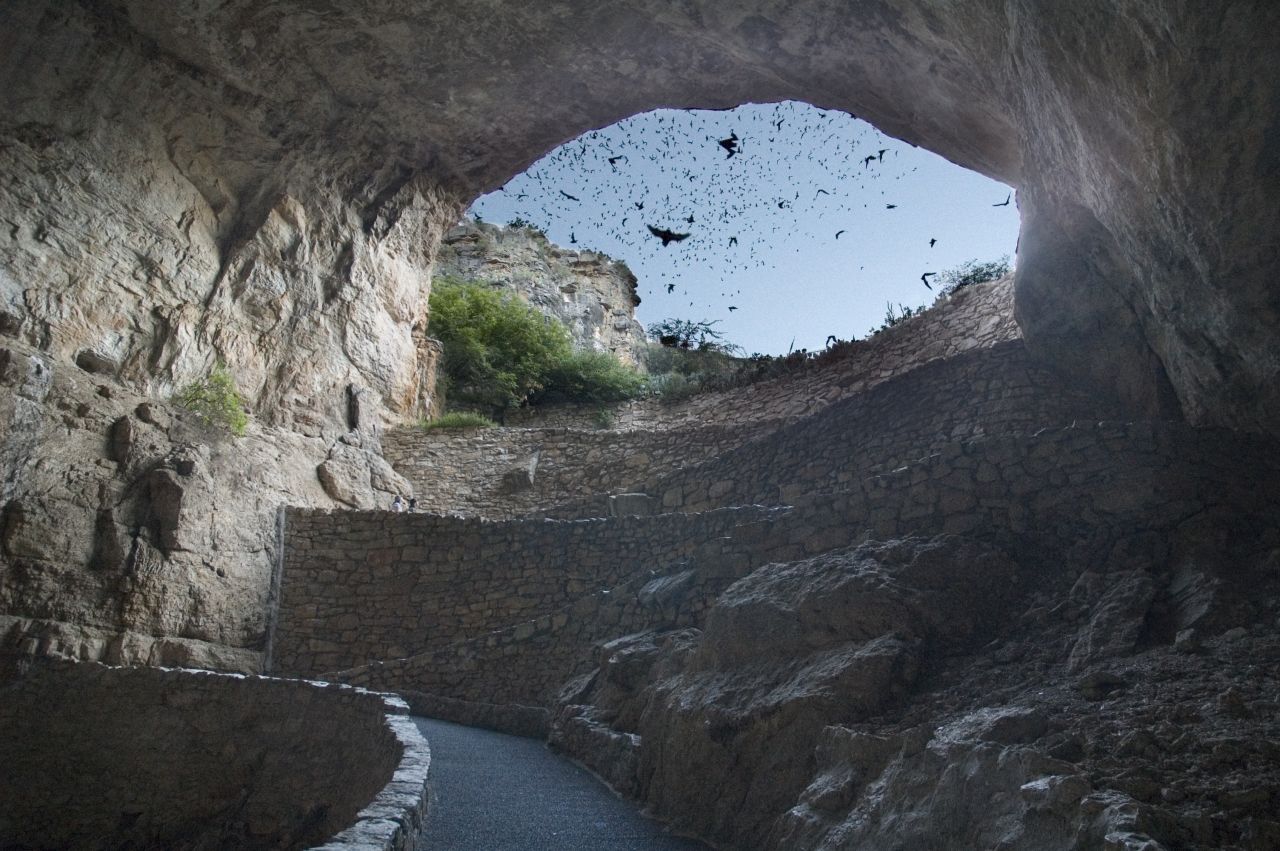 New Mexico's Carlsbad Caverns National Park hosts nightly bat watches in the Bat Flight Amphitheater.