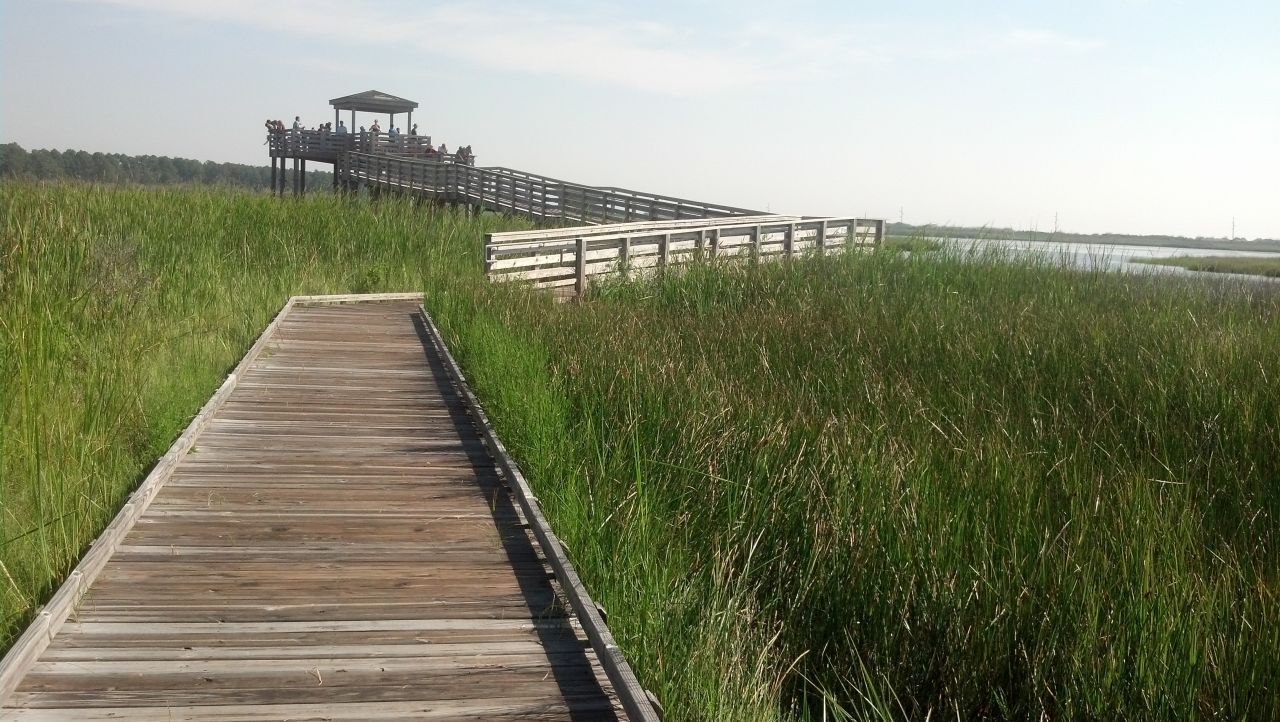 The boardwalk near Bodie Island Lighthouse is Gamman's favorite place to view wildlife.