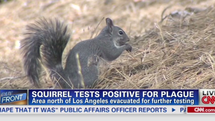 erin intv squirrel tests positive for plague_00002404.jpg