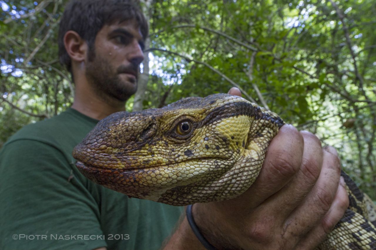 Mozambican amphibian researcher Harith Farooq was one of the scientists participating at the biodiversity survey. Here, he is seen holding a Savannah monitor lizard, (which was later released).