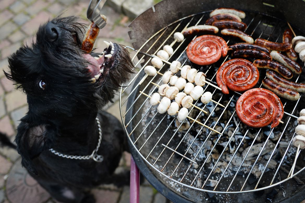 Aside from the obvious danger of serious burns, cookouts can be treacherous for your dog. Eating foods they don't normally eat -- greasy burgers and barbecue sauce -- can wreak havoc on their digestive systems. 