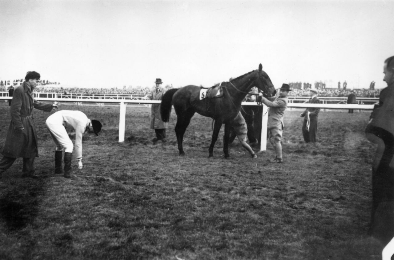 In 1956, the Queen Mother's horse Devon Loch famously fell while leading the prestigious Grand National steeplechase, unseating jockey Dick Francis just yards from victory.