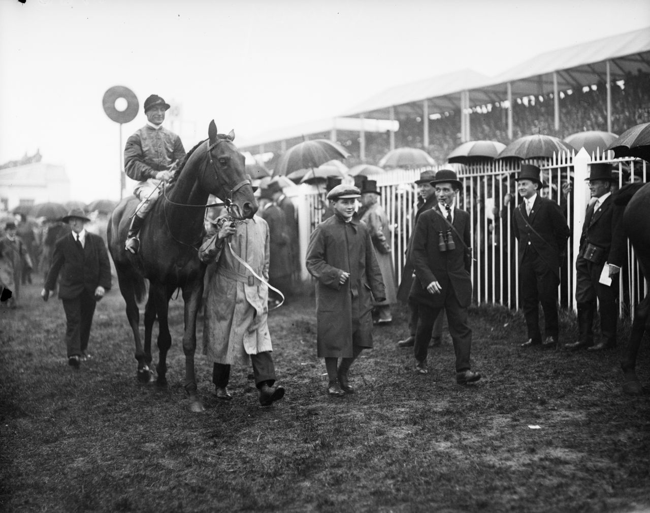 Britain's royals have strong links to racing. A horse owned by King George V is escorted home after winning the Steward's Cup at Royal Ascot in 1911.