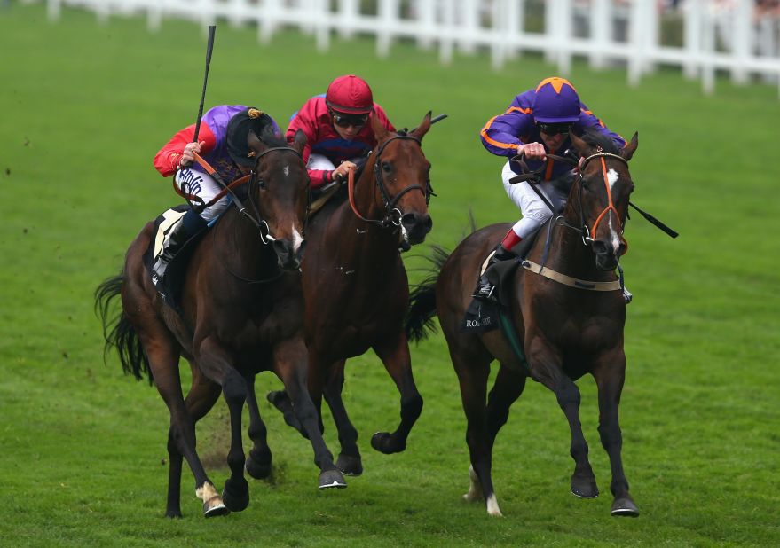 Estimate's Gold Cup win was the first for a British monarch in the race's 207-year history. 