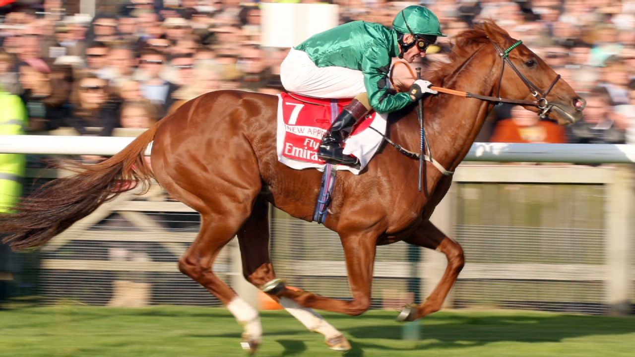 spc winning post speed gene_00015015.jpg
