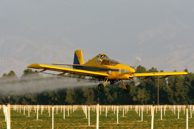 A real-life crop duster similar to Dusty sprays pesticide on cotton and potato field south of Bakersfield, California.