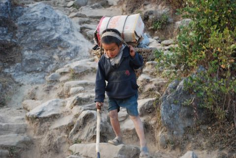Though child labor is illegal in Nepal, an estimated 1.6 million children between 5-17 years are in the work force, according to the Nepal Child Labor Report. This 2010 photo shows a boy working as a porter in Nepal's Solukhumbu district.