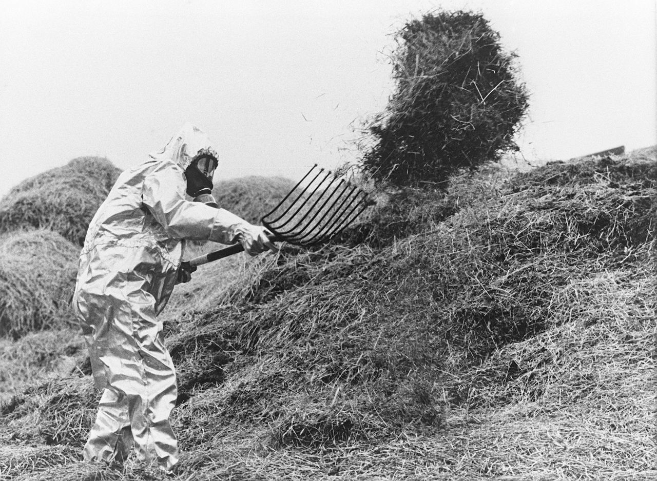 A farmer in Sweden wears anti-atomic clothes as he sifts hay possibly contaminated by the radioactive cloud from Chernobyl in June 1986.