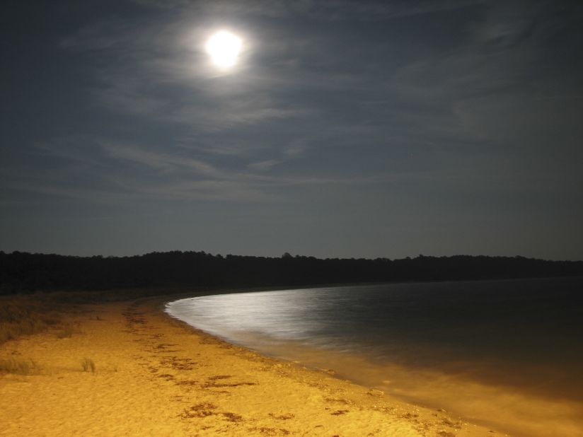 <a href="http://www.dcr.virginia.gov/state_parks/kip.shtml" target="_blank" target="_blank">Kiptopeke State Park</a> in Virginia is unusual among East Coast beaches because visitors can actually watch the sun go down over the water. It faces west because it's located on the Chesapeake Bay side of Virginia's Eastern Shore. The light in this picture isn't the sun, though. It's a Harvest Moon, when the moon looks larger and brighter than usual. 