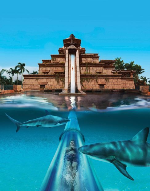 Aquaventure's Leap of Faith ride passes through a shark-filled aquarium. Visitors can swim in a manmade lagoon filled with marine animals. 