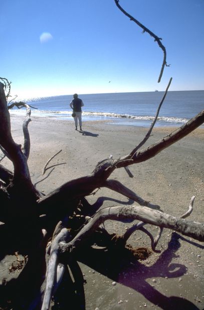 The <a href="http://www.creolenaturetrail.org/" target="_blank" target="_blank">Creole Nature Trail All-American Road</a> in southwest Louisiana features 26 miles of Gulf Coast beaches, including the rustic Rutherford Beach.  