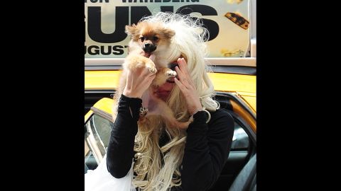 Bynes uses her dog to block her face from photographers while shopping in Chelsea on July 10, 2013, in New York City. On July 24 of that year, Bynes was detained for a mental health evaluation after being "involved in a disturbance in a residential neighborhood" in  Thousand Oaks, California. She was then placed under an involuntary psychiatric hold for four months. 