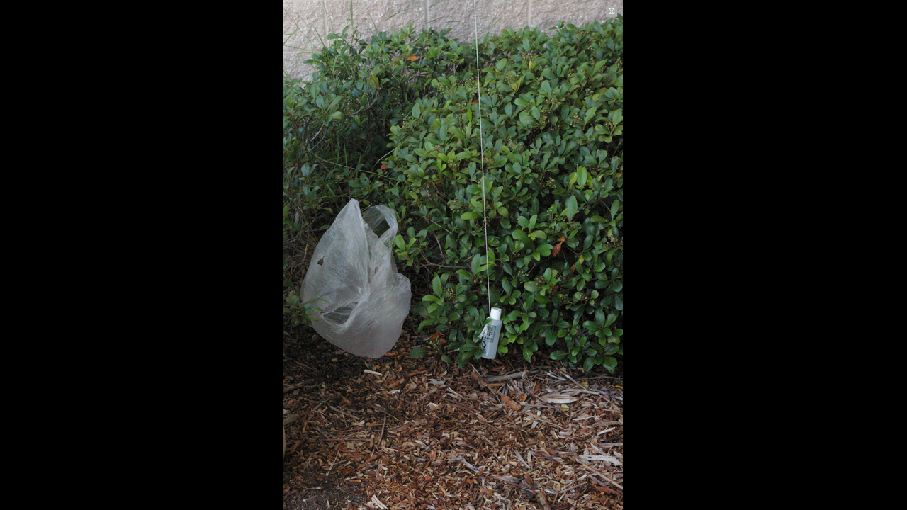 Three men -- two inmates and a civilian accomplice -- have been charged with Introduction of contraband into the Pinellas County Jail in Florida. The bag and contraband were discovered hanging outside the fourth floor.
